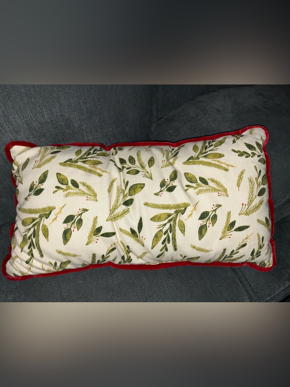 Holiday Botanical Velvet Reversible Pillow